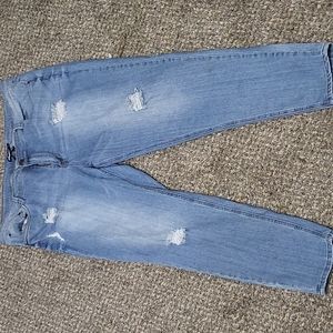 Ladies Dollhouse Jeans Size 22